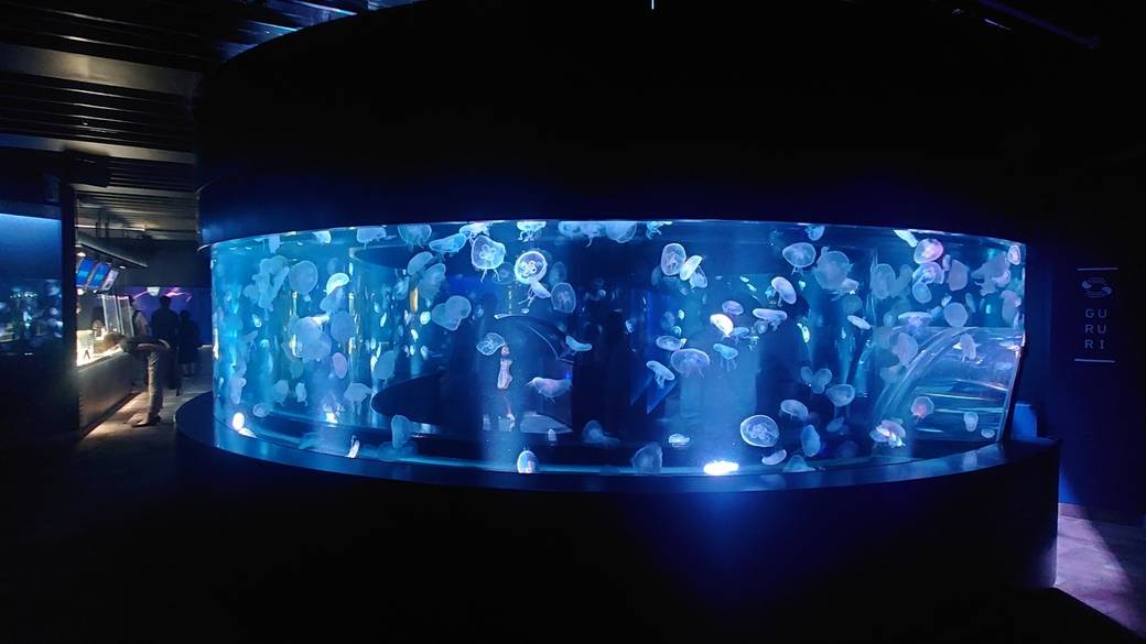 京都水族館 / 2