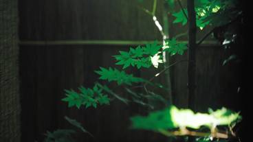 客室 / 7