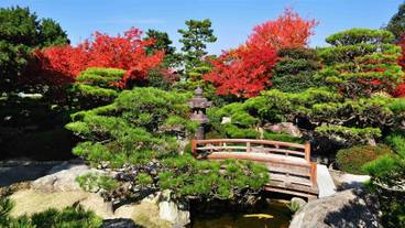 観光スポット / 9