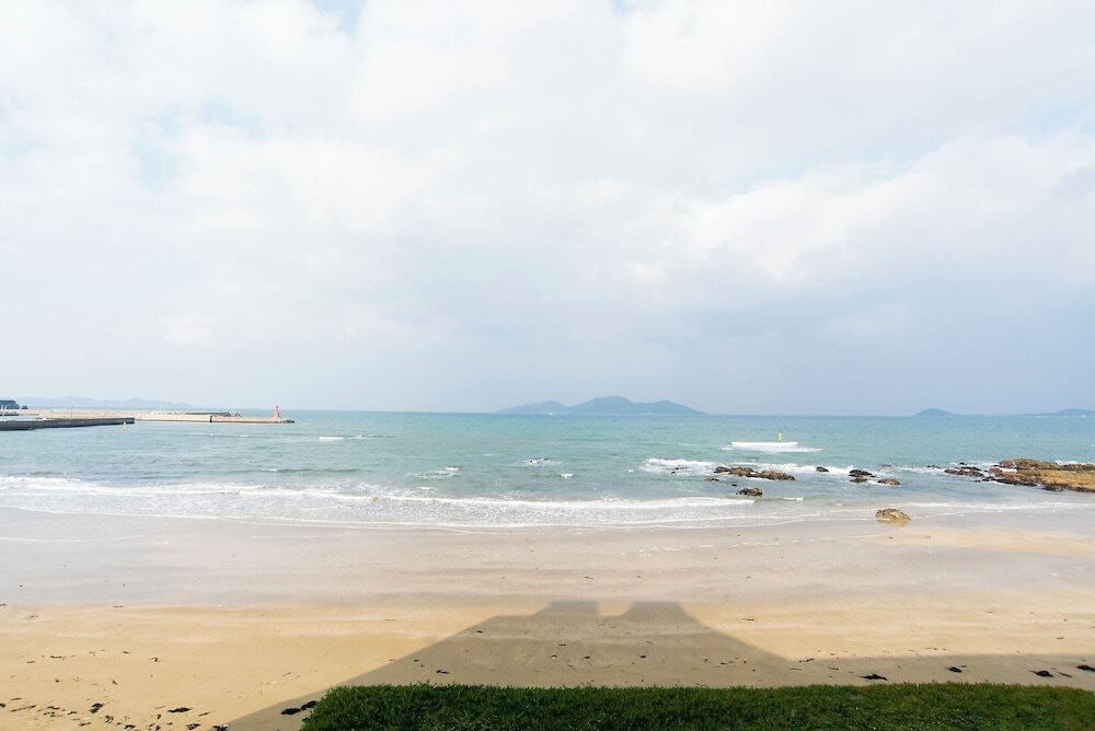 ビーチ / オーシャン ビュー