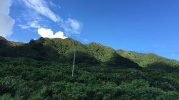 マウンテン ビュー / 14