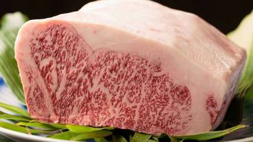 フード コート / 1