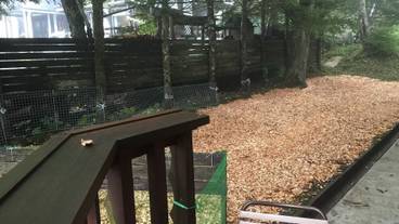 ペット同伴可 / 1