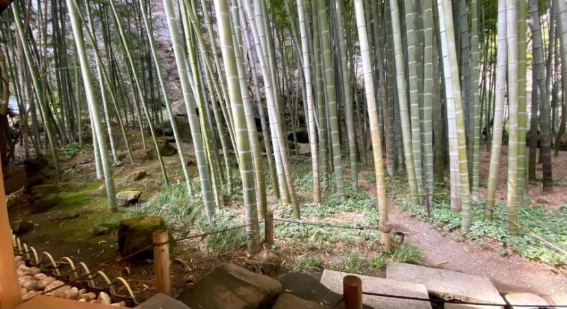 ponkichi_daruさんの写真 / 5