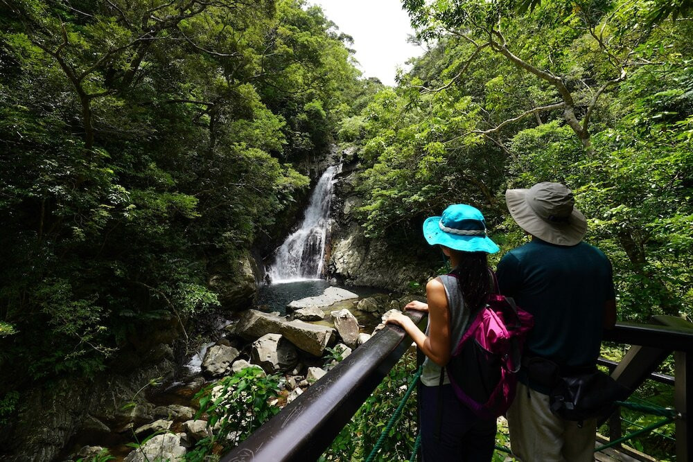 ジャングルの中を探検！「比地大滝ガイドツアー」4270001