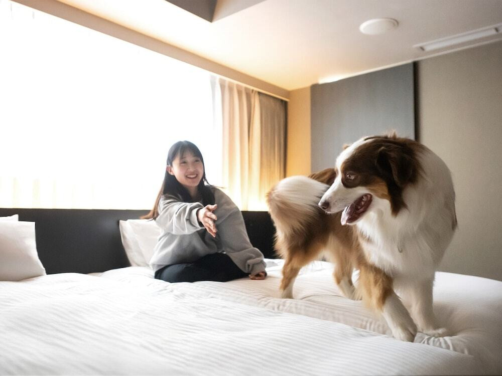 客室