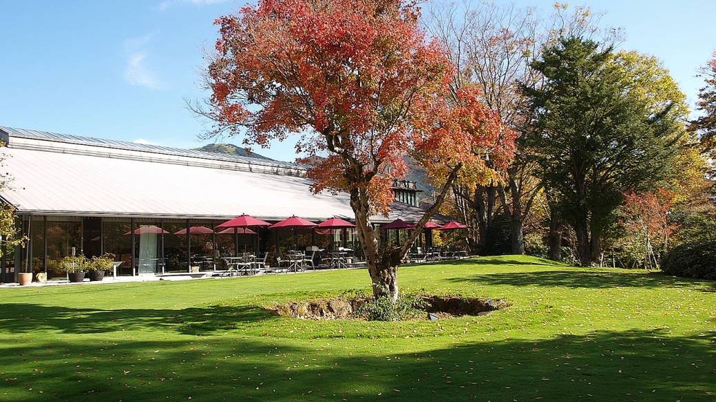 敷地内には気持ちの良い中庭も / 3