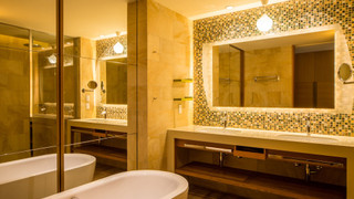 プレミアム ルーム キングベッド 1 台 バルコニー オーシャンビュー（プレミアムオーシャン キングルーム)