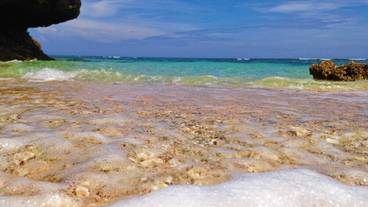 ビーチ / オーシャン ビュー / 7