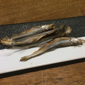 「独酌　三四郎」料理 721575 ＜2015年10月＞日高産のししゃも