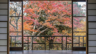 本館「梅」または「木立」（お風呂なし）