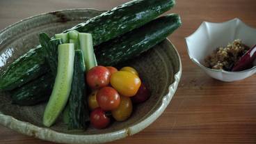 食事・飲み物 / 1