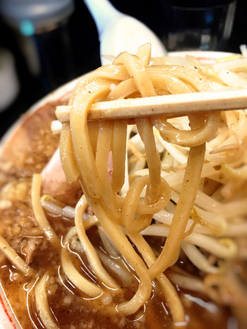 「泪橋」料理 316635 麺は四角い腰のある麺です。