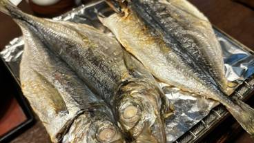 箱根小涌谷温泉 水の音(ハコネコワクダニオンセン ミズノト) / 9