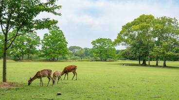 観光スポット / 8