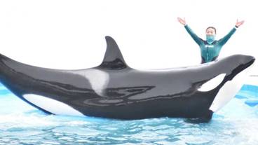 観光スポット / 34