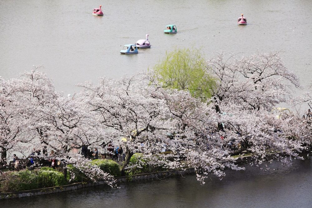 湖
