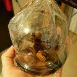 ル ショコラアット（ルショコラアット）