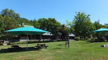 施設の敷地 / 31