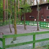 安曇野 温泉 ドッグラン お宿たんたん（長野県 ペンション） / 4