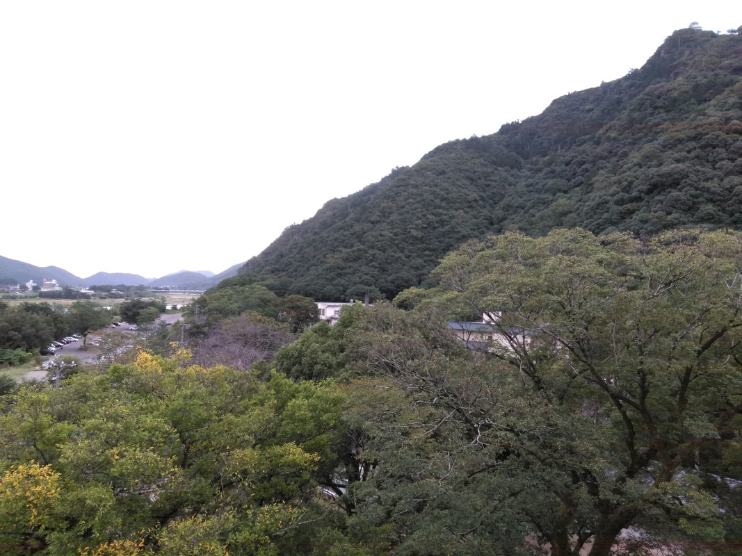 右上に岐阜城も見えます。