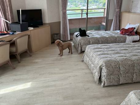 浜名湖わんわんパラダイスホテル / 2