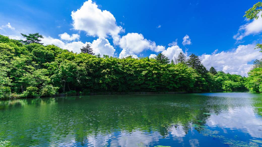 絶景と名高いスポット
「雲場池」へ / 1