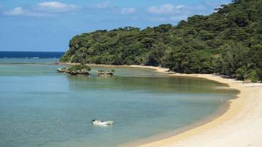 ビーチ / オーシャン ビュー / 11