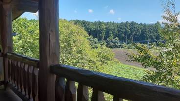 マウンテン ビュー / 18