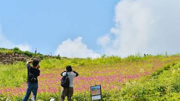 ハイキング / 10