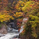 三名山のひとつ白山！石川県白山市で自然を感じる観光スポット10選