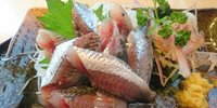 千葉・九十九里エリアで海鮮三昧！人気のおすすめ食堂7選