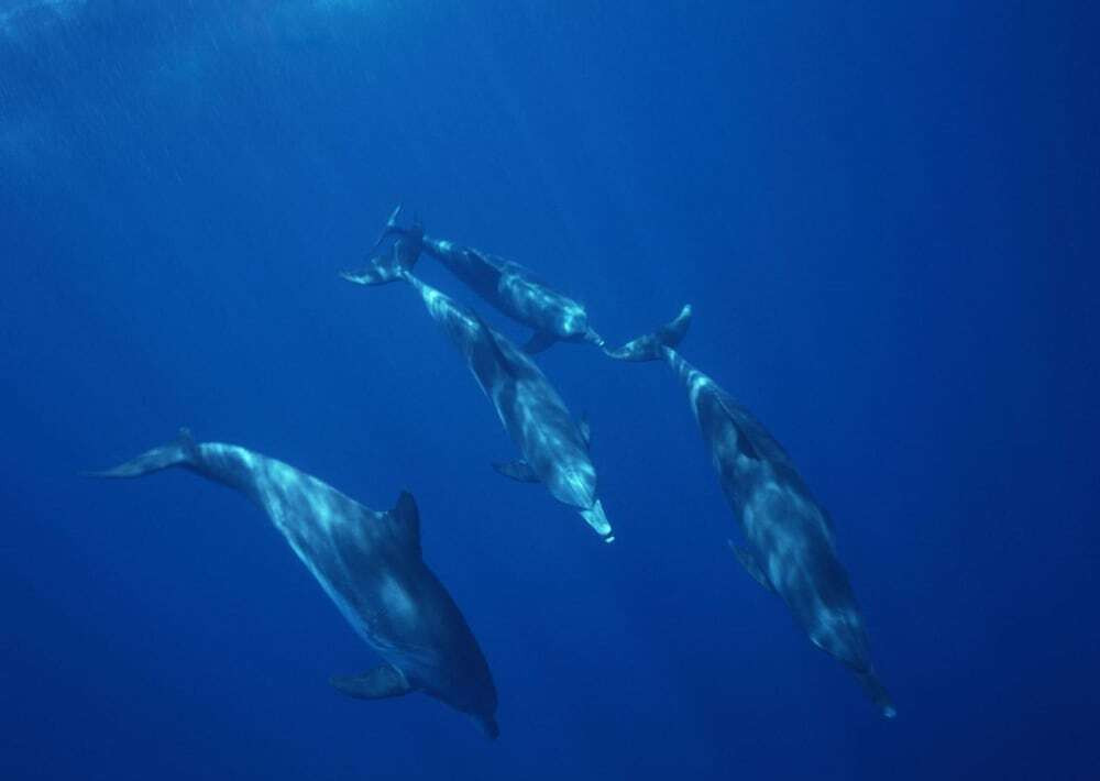 フィットネス設備