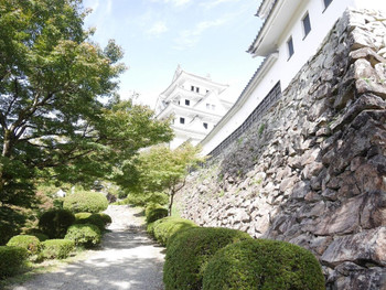 古い町並みと水路が巡る城下町「郡上八幡」3654960