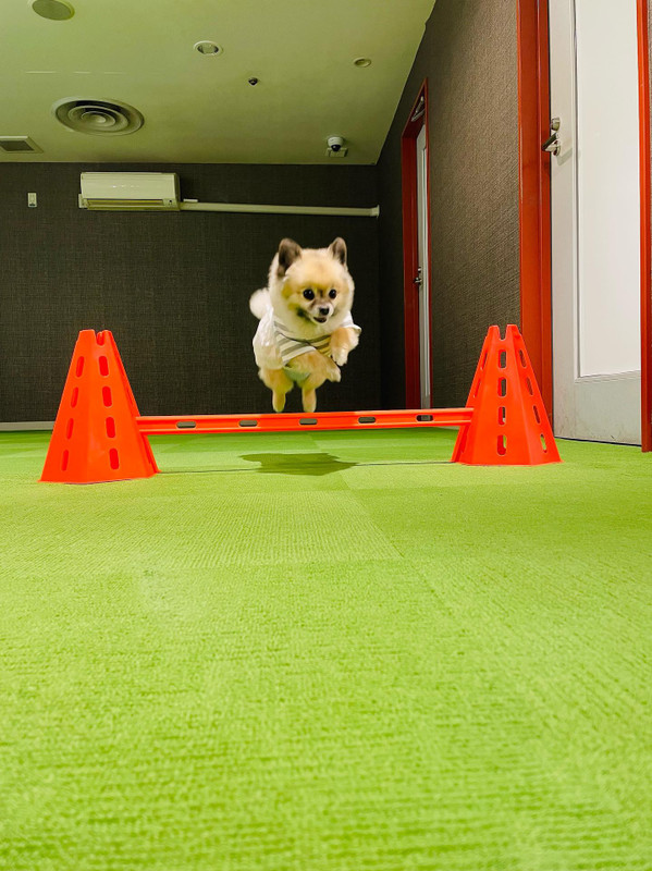 k_chirashi_さんの写真 / 1