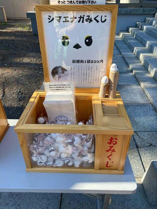 zonomeguさんの写真 / 3