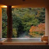 箱根湯本温泉 箱根水明荘（神奈川県 ビジネスホテル） / 3