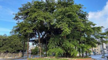 ランド ビュー / 13