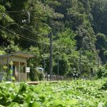 日常を忘れたいなら。ローカル線でのんびり行く、私たちだけの春の女子旅