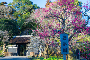 Kairakuen Main Gate Kobun-tei Main Gate Entrance (Ibaraki) *Photo taken in March 2019