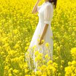 心はずむ春の新潟へ！花や自然の景色が美しいおすすめ観光スポット7選