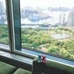 浜離宮と東京湾がみずみずしい