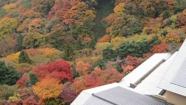 部屋からの景観 / 31