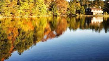 観光スポット / 9