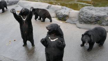 観光スポット / 6