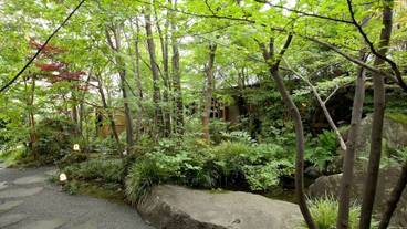 施設の敷地 / 12