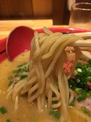 「えびそば一幻 総本店」料理 901740 