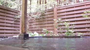 屋外スパ浴槽 / 2