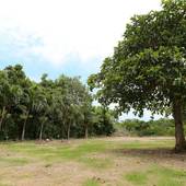 パームヴィラ石垣島 igusa（沖縄県 別荘・ヴィラ・コンドミニアム） / 5