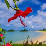 【2020年】ぴったりの旅が見つかる♪沖縄観光のポイントとエリアの特徴を紹介！